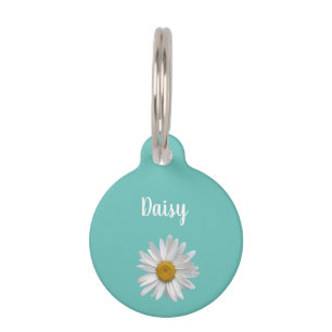 Médaillon Pour Animaux Chat tendance Blanc Daisy mignonette Kitty Vert Tu