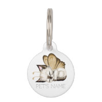 Chaton Papillon Endormi