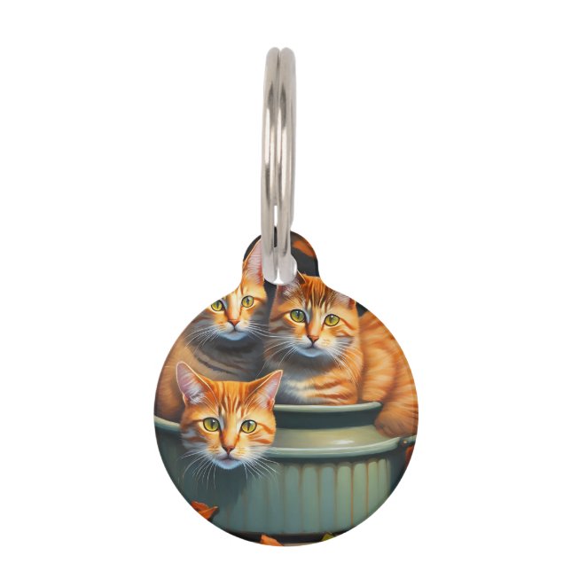 Médaillon Pour Animaux Chats Roux Pot Plantes, Étiquette Animal (Devant)