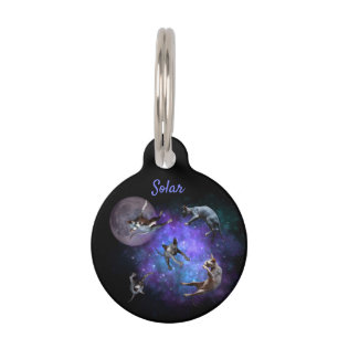 Médaillon Pour Animaux Chats Sphynx dans l'Espace Kittens Flottants