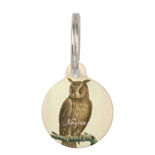 Médaillon Pour Animaux Chevêche de la Grande-Corne Thunder_Cove