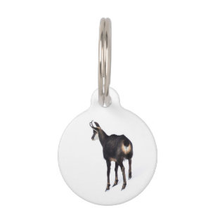 Médaillon Pour Animaux Chèvre montagneuse minimaliste chamois alpin sur n