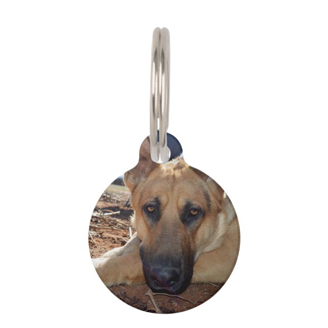 Médaillon Pour Animaux Chien Allemand Chepherd'élevage Naps, Tag (Devant)