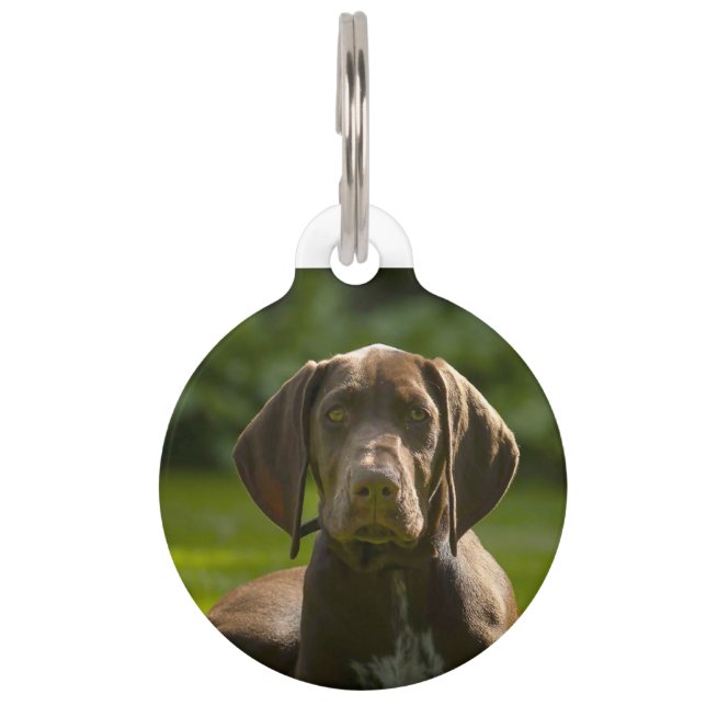 Médaillon Pour Animaux Chien Braque Allemand. (Devant)