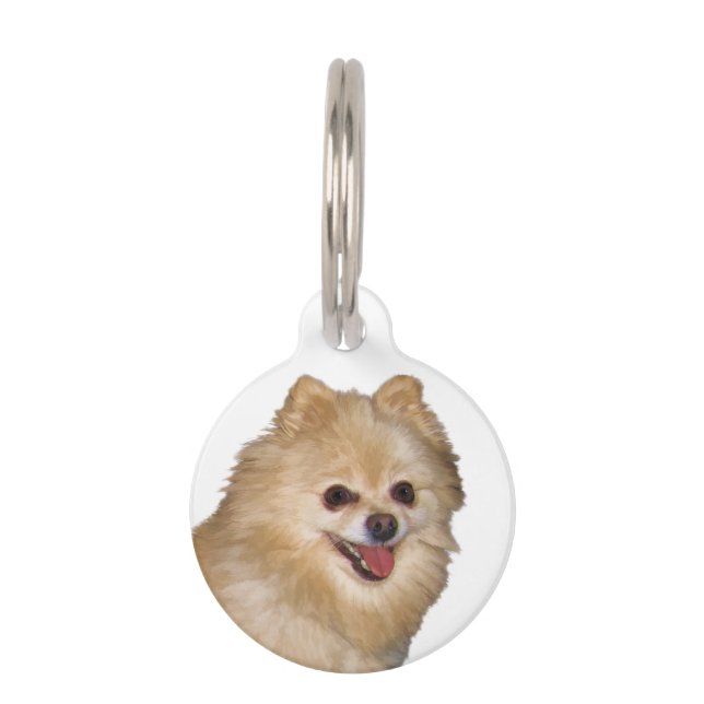 Médaillon Pour Animaux Chien Brown et blanc de Pomeranian (Devant)