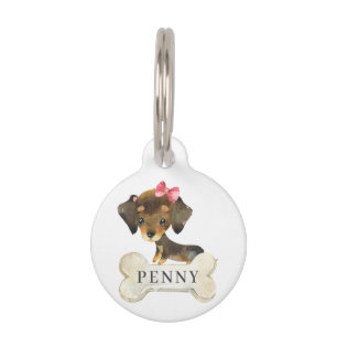 Médaillon Pour Animaux Chien chiot teckel