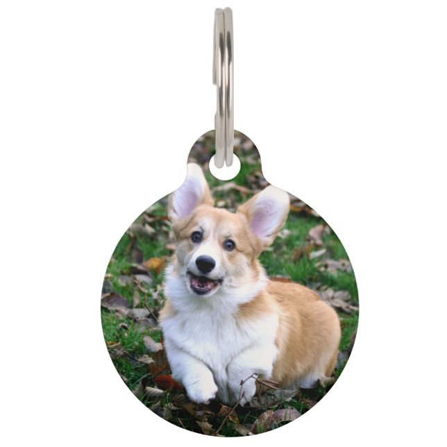 Médaillon Pour Animaux Chien Corgi mignon sautant (Devant)