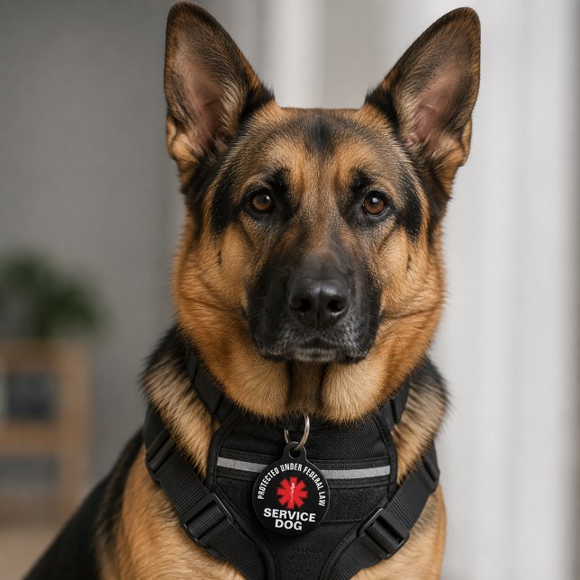 Médaillon Pour Animaux Chien d'assistance personnalisé (Créateur téléchargé)