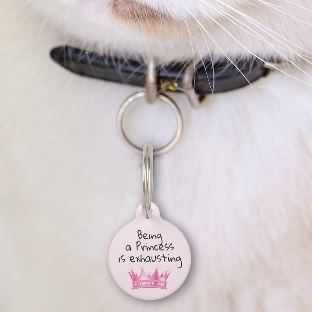 Médaillon Pour Animaux Chien de compagnie Chat Funny Princess Code de Per (Créateur téléchargé)