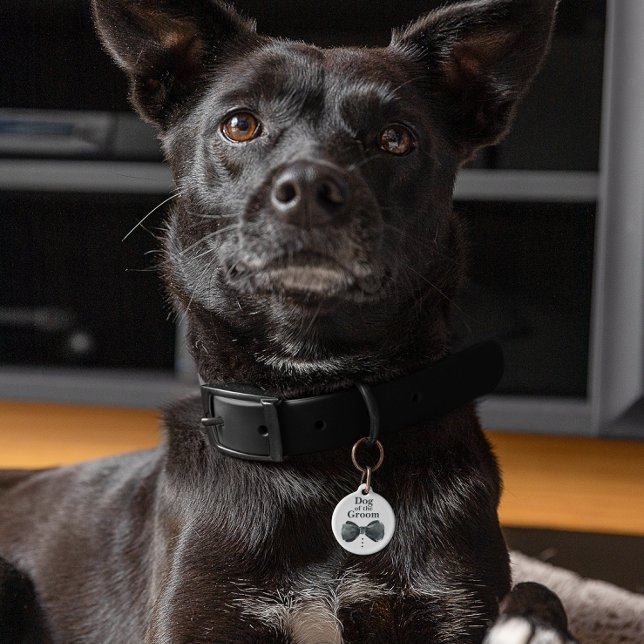 Médaillon Pour Animaux Chien de la chambre | Chien en Mariage (Créateur téléchargé)