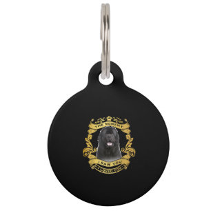 Médaillon Pour Animaux Chien de Terre-Neuve Le moment où je t'ai vu Des