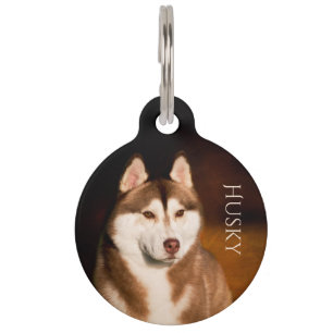Médaillon Pour Animaux Chien de traîneau sibérien