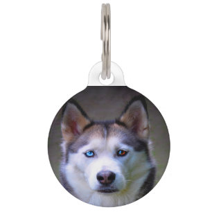 Médaillon Pour Animaux Chien Husky Sibérien.