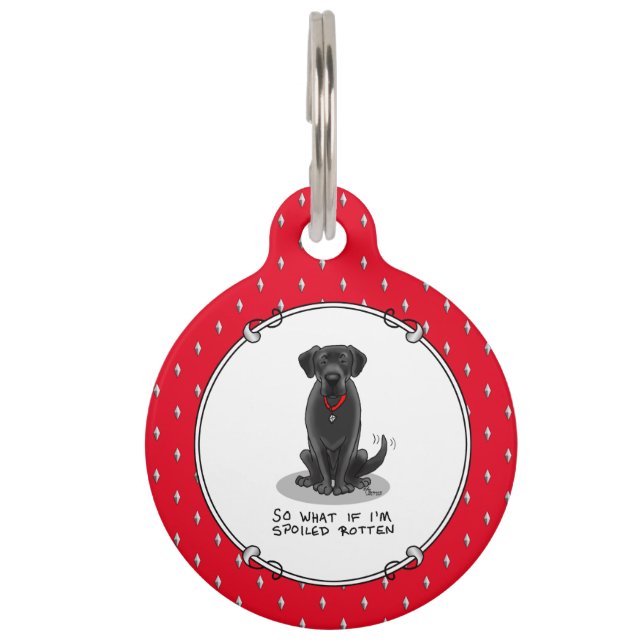Médaillon Pour Animaux Chien Labrador Retriever Noir Gâté à l'Os (Devant)