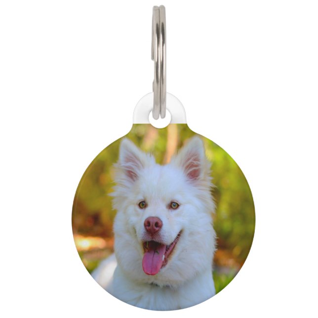 Médaillon Pour Animaux Chien Lapphund. (Devant)