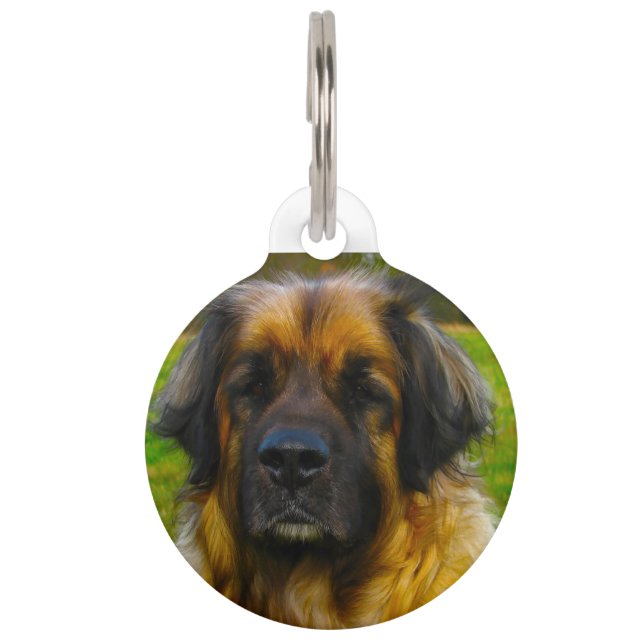 Médaillon Pour Animaux Chien Leonberger. (Devant)