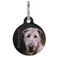 Chien-loup irlandais