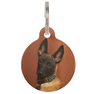 Médaillon Pour Animaux Chien malinois