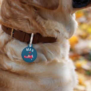 Médaillon Pour Animaux Chien Mignon dans un Collier Personnalisé d'Avion