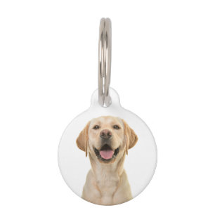 Médaillon Pour Animaux Chien personnalisé