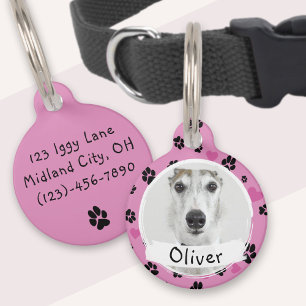 Médaillon Pour Animaux Chien Photo Personnalisée Nom Empreintes de Pattes