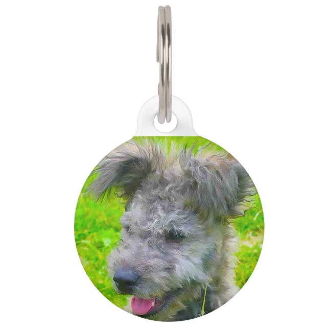 Médaillon Pour Animaux Chien Pumi Hongrois. (Devant)