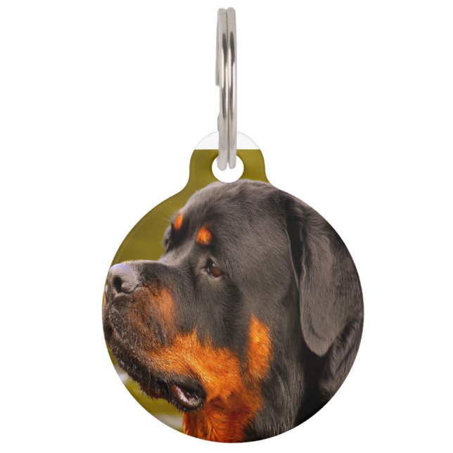 Médaillon Pour Animaux Chien Rottweiler (Devant)