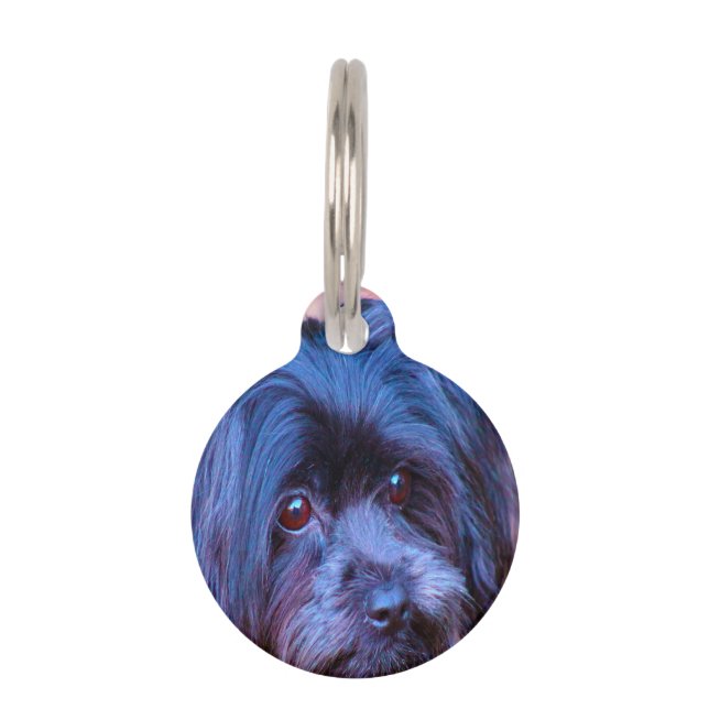 Médaillon Pour Animaux Chien Shih Tzu. (Devant)