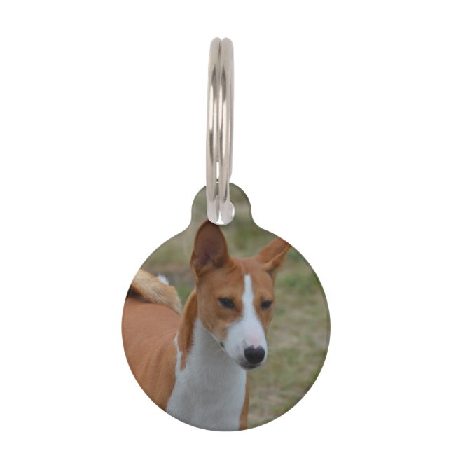 Médaillon Pour Animaux Chien stupéfiant de Basenji (Devant)