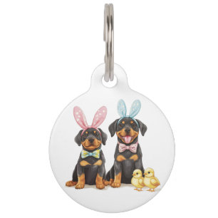 Médaillon Pour Animaux Chiens Bunny Oreilles de Pâques Rottweiler