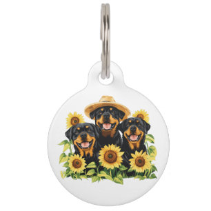 Médaillon Pour Animaux Chiens Rottweiler Entourés De Tournesols