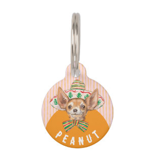 Médaillon Pour Animaux Chihuahua drôle mignon chien orange rose casquette