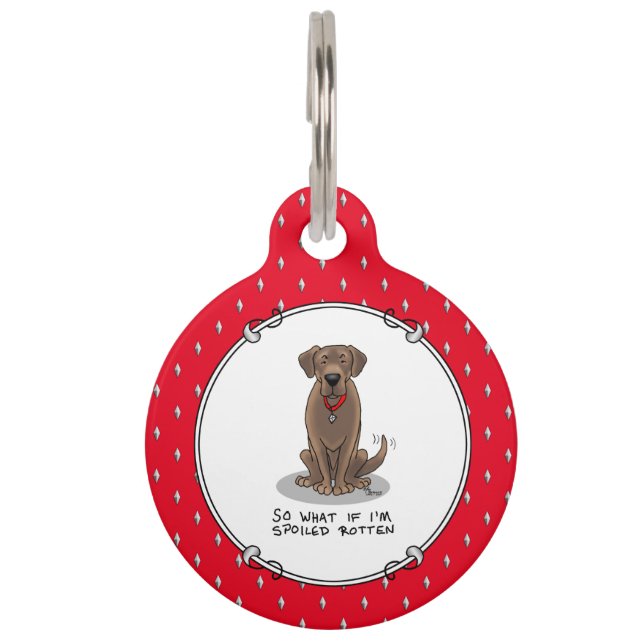 Médaillon Pour Animaux Chocolat Lab Labrador Retriever Pourri Gâté (Devant)