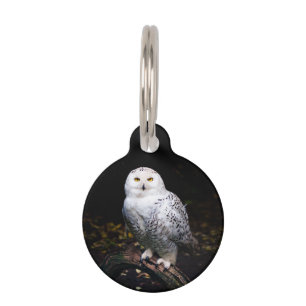 Médaillon Pour Animaux Chouette hivernale majestueuse