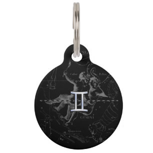 Médaillon Pour Animaux Chrome d'argent comme Gemini Zodiac Connexion Heve