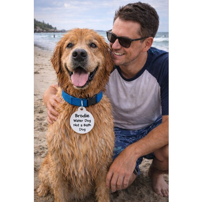 Médaillon Pour Animaux Citation drôle avec numéro de téléphone | Nom pers (Créateur téléchargé)