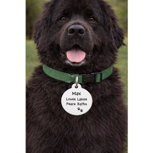 Médaillon Pour Animaux Citation drôle avec numéro de téléphone   Nom pers