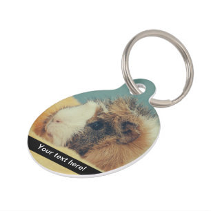 Médaillon Pour Animaux Cobaye