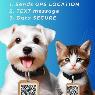 Médaillon Pour Animaux Code QR de balise de chien rond