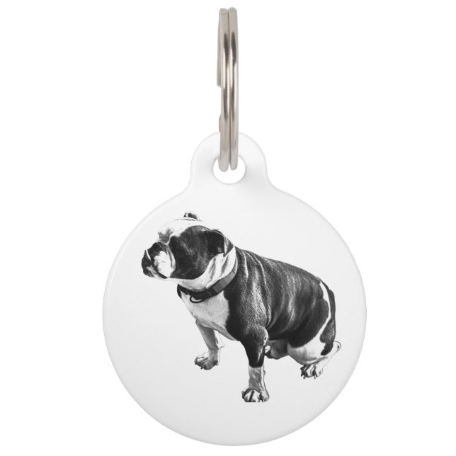 Médaillon Pour Animaux Connu par le calme (Devant)