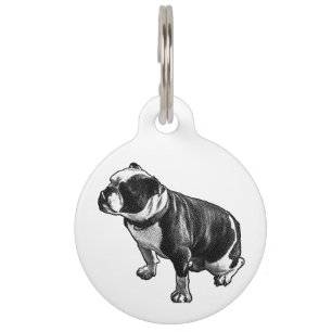Médaillon Pour Animaux Connu pour son calme