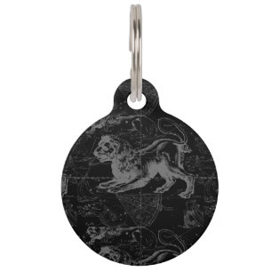 Médaillon Pour Animaux Constellation Hevelius de Lion 1690 July23 - 22