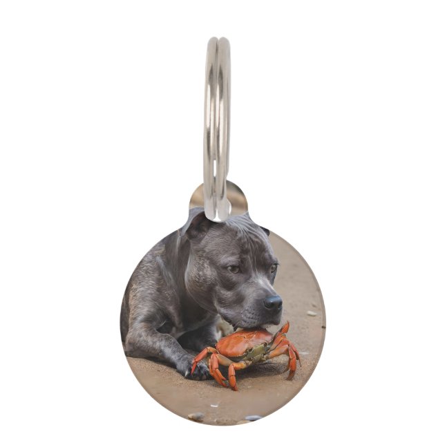 Médaillon Pour Animaux "Copains de plage : un Staffy et son compagnon cra (Devant)