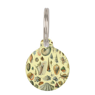 Médaillon Pour Animaux Coquillages de coquillages Mollusk Clam Élégant Ar