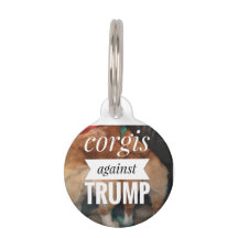 corgi contre étiquette de chien