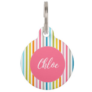 Médaillon Pour Animaux Couleur été arc-en-ciel rayures