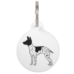 Médaillon Pour Animaux couleur silo de terrier américain sans cheveux