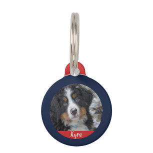 Médaillon Pour Animaux Créez votre propre information de contact de nom
