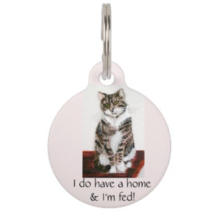 Médaillon Pour Animaux Cute Tabby Cat Art