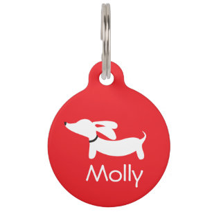 Médaillon Pour Animaux Dachshund Collar Charms Nom personnalisé Contact